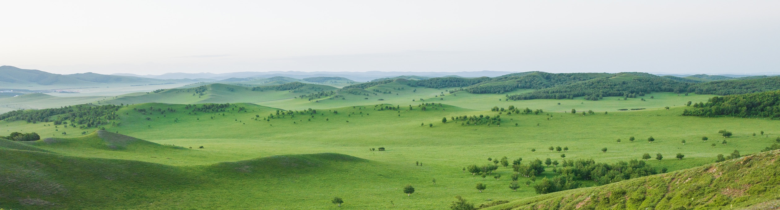 What’s on the  antitrust horizon?<br />